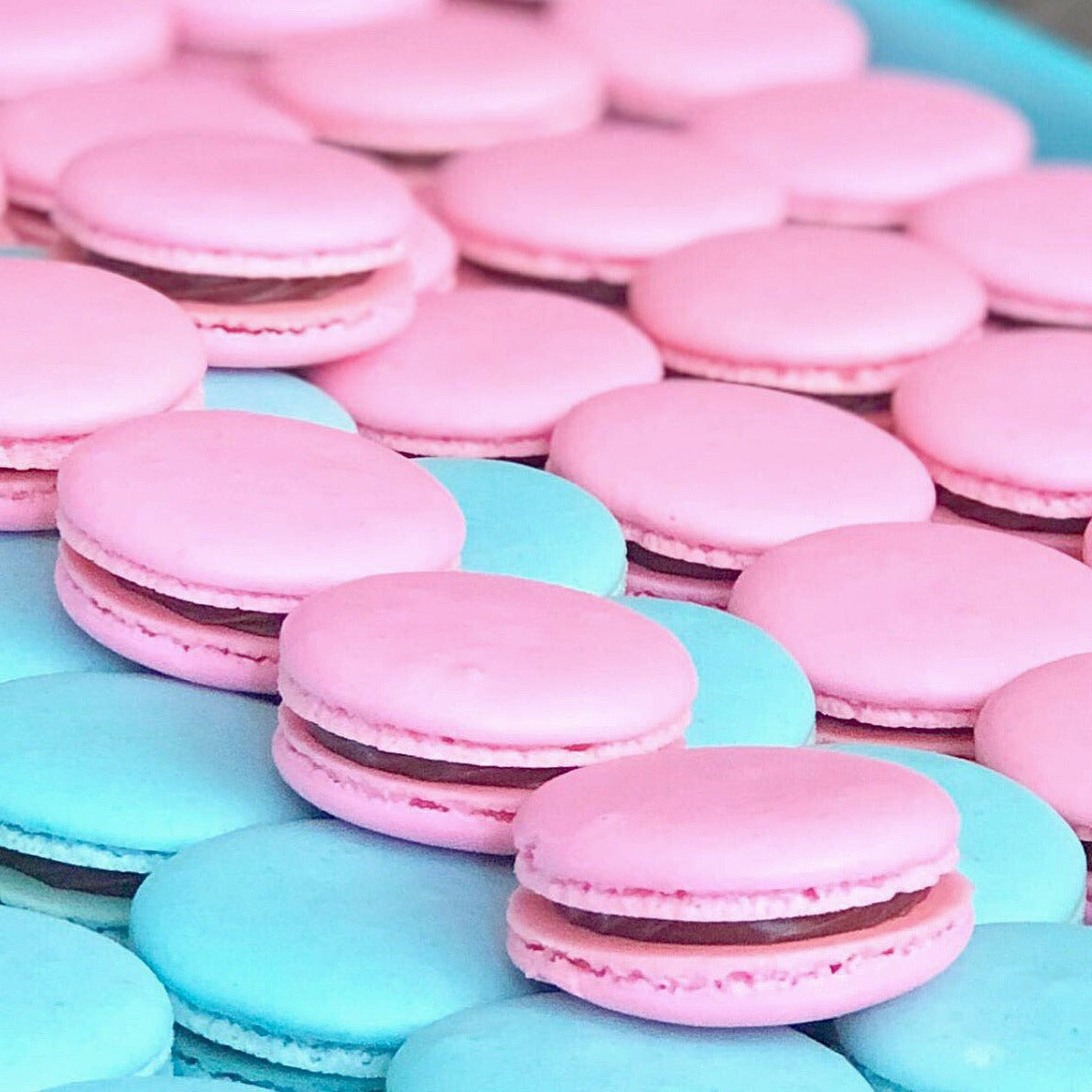 Macarons