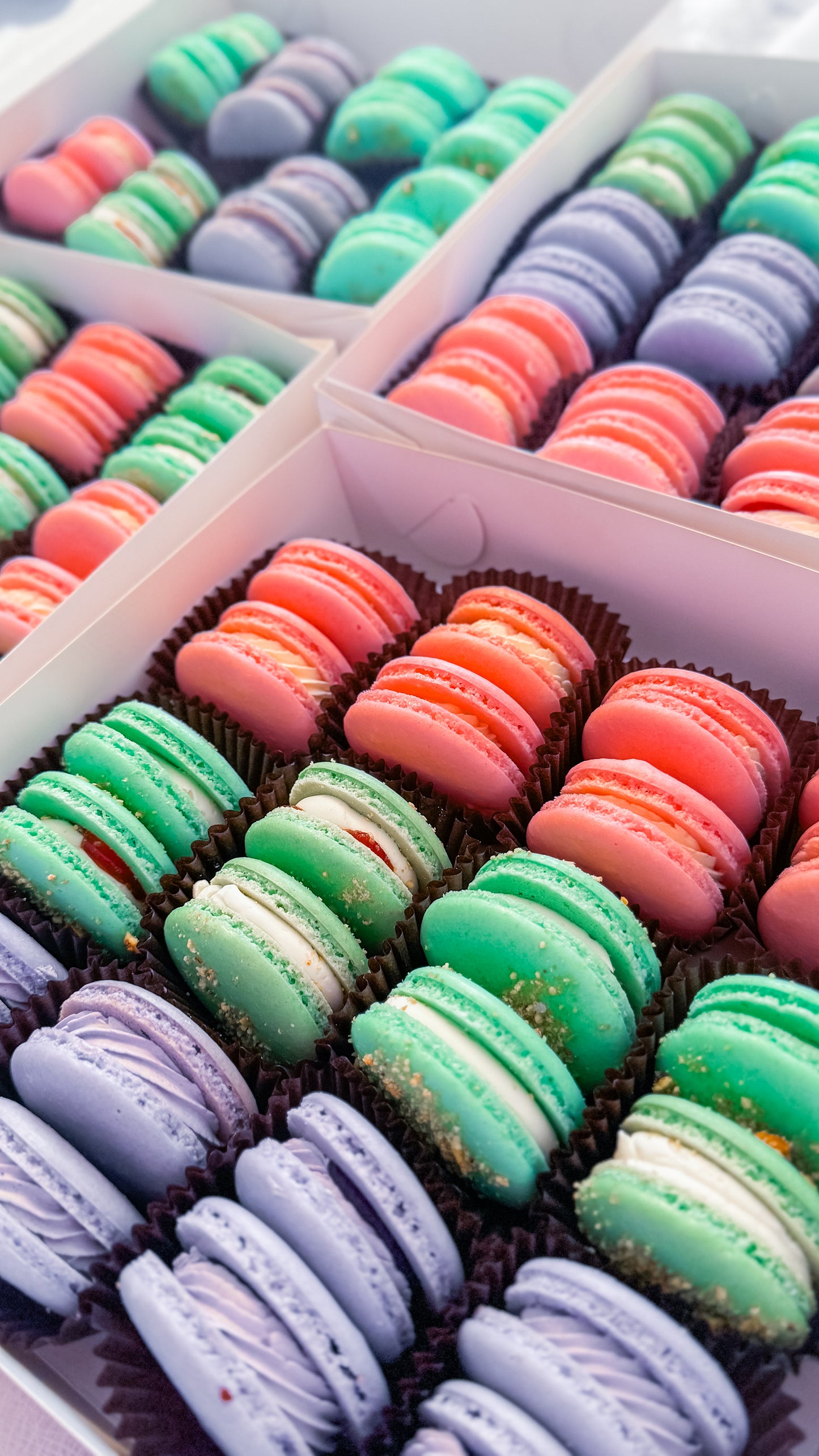 Macarons