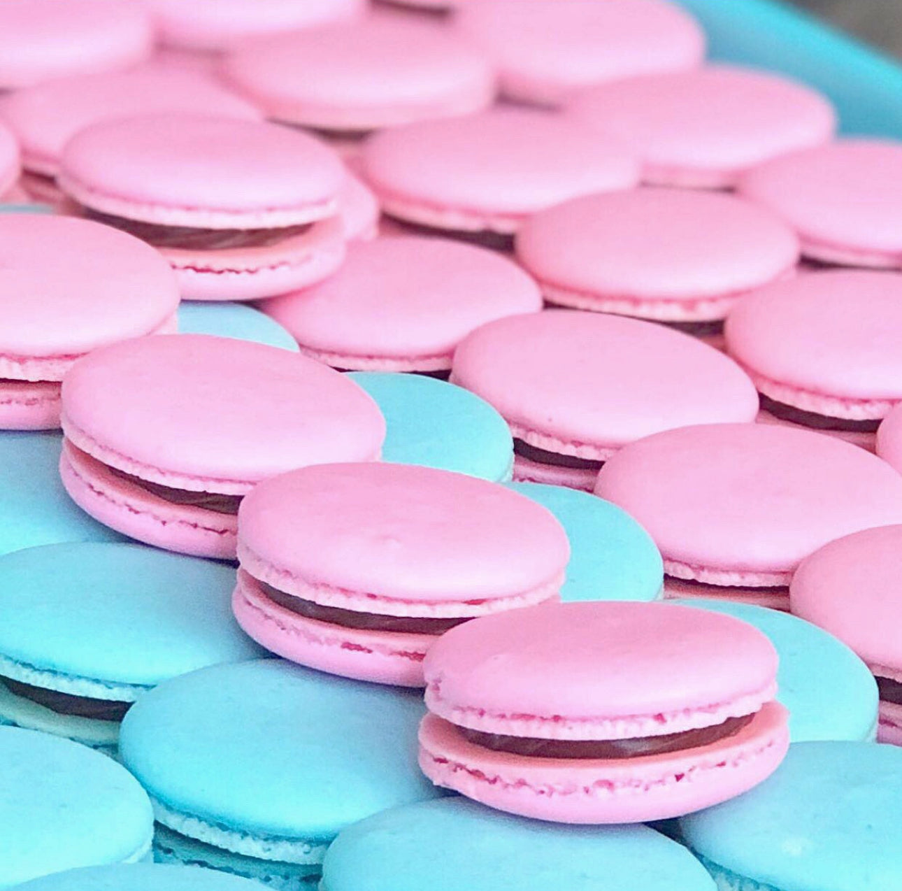 Macaron membership/registration